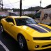 Vehicle Wrap Gallery Image